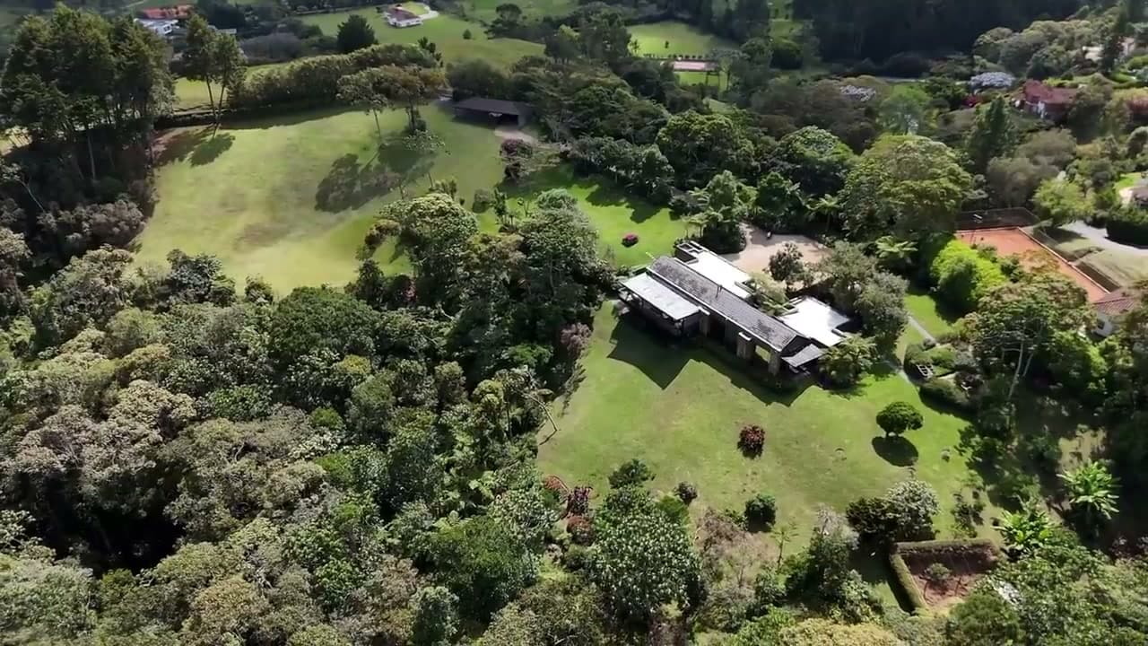 Vista aérea de la casa sobre el lote arbolado