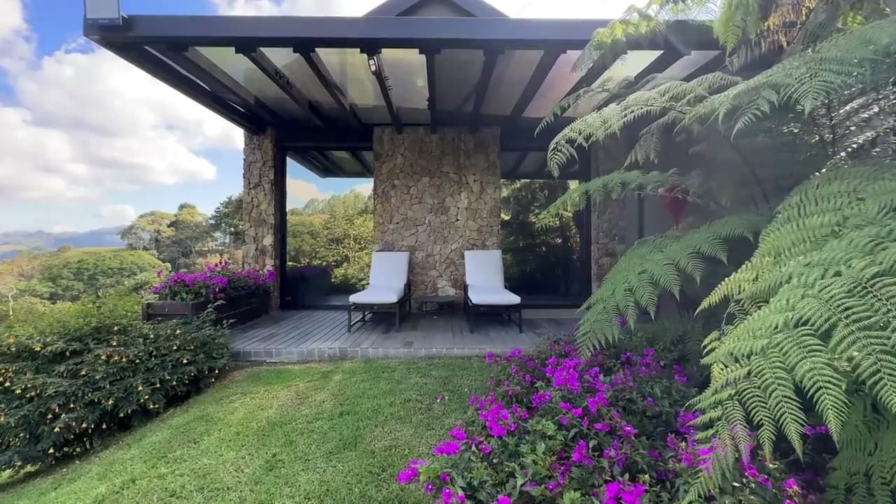 Terraza en piedra con tumbonas entre helechos arbóreos